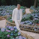 无尽夏绣球开啦🌸最新共青森林公园拍照攻略