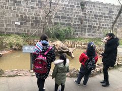-燊海井
