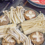 来这里吃火锅🍲看欧洲杯球赛❗️