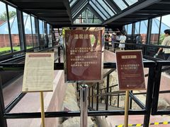 -南越王博物院(王宫展区)