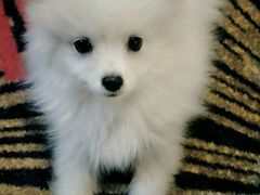 -他她纯乐party量贩KTV(升龙店)