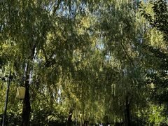 -渭滨公园