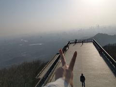 -紫金山山顶公园