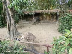 -广州长隆飞鸟乐园