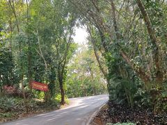 -西双版纳勐泐文化旅游区