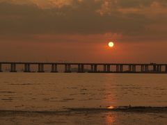 -宝安西湾红树林湿地公园