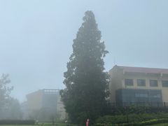 -缙云山景区