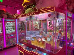 -BIG PINK大粉娃娃机主题馆(圆融星座店)