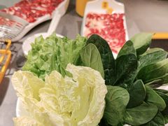 -潮发潮汕牛肉店(东方宝泰店)