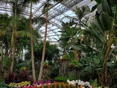 -北京植物园-展览温室