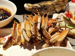 -杨氏青龙虾·羊蝎子(珠江路店)