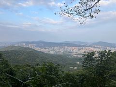 -点都德(广州白云山景区南门店)