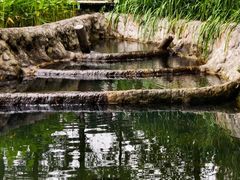 -成都市活水公园
