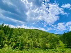 -塞罕坝国家级自然保护区