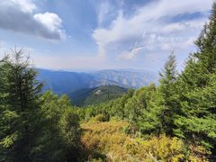 -苏木山森林公园