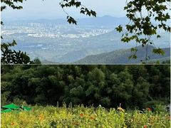 -莫干山风景区