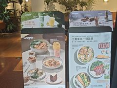 -Wagas沃歌斯(枫蓝国际店)