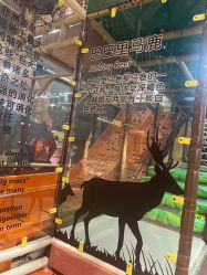 -卡通尼·Safari非洲探索乐园·生日会(金桥国际商业广场店)