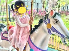 -中旅阿那亚九龙湖·公主酒店