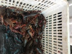 -青石桥市场北1-27号