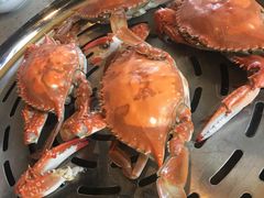 -四海蒸鲜蒸汽海鲜自助(北戴河店)