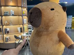 -金色印象·HiFi影音·按摩足疗PLUS(黄泥磅店)