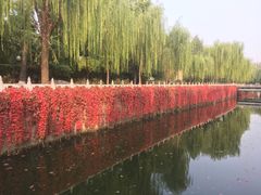 -清华大学-清芬园