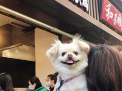门面-陶记正宗德州扒鸡(科巷店)