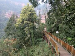 -赤水丹霞旅游区·佛光岩