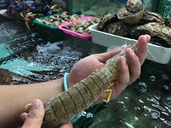 -班赞海鲜市场
