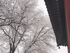 -隆兴寺