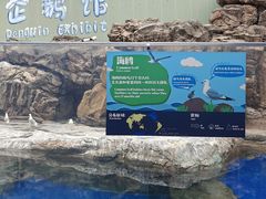-珠海长隆海洋王国