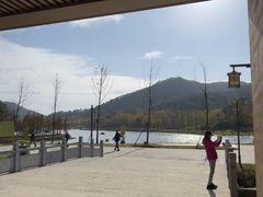 -千年银杏谷文化旅游区