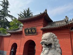 -洛阳白马寺