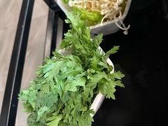 -猪无忌·专做猪肚包鸡20年(乐峰广场店)