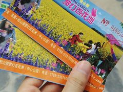 -松山湖梦幻百花洲