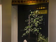 -隐溪茶馆(金虹桥店)