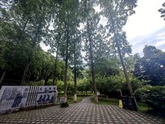 -第一山景区