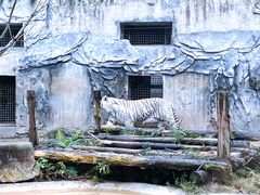 景点-黔灵山公园
