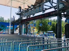 -海盗传奇水世界