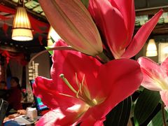 -瑶王府·广西菜(相思湖店)