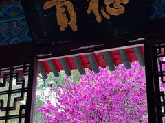 -万寿八仙宫