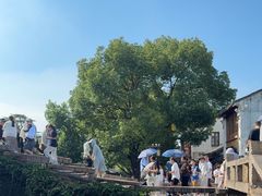 -周庄古镇景区-双桥