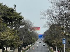 -八大关景区