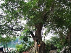 -扬美古镇景区