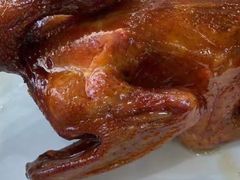 原只红烧鸽-煲煲掂风味煲仔饭餐厅(西区店)