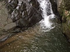 -藏龙百瀑风景区