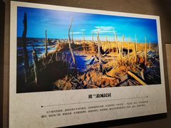 -巴音郭楞蒙古自治州博物馆