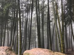 -江南天池高山汤泉城