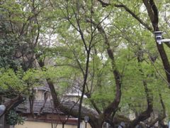 -颐和路民国时期公馆风貌区